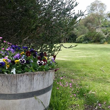 Padthaway Caravan Park Kültér fotó